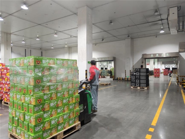 提升效率，确保品质，鲜丰水果物流中心全力以赴迎接双11大促(图1)