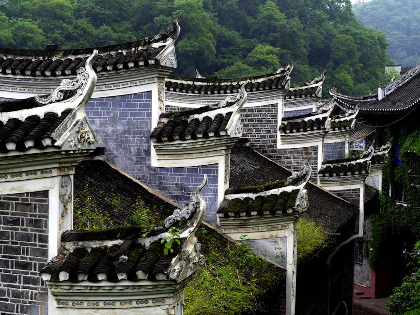 解析龙飞凤舞:揭秘生肖背后的文化意蕴(图2) 解析龙飞凤舞:揭秘生肖背后的文化意蕴(图2)