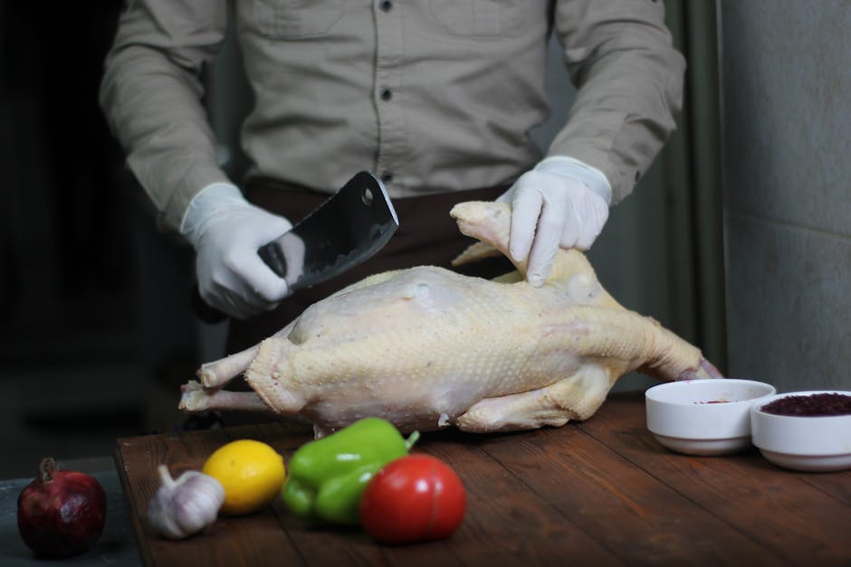 牛鼎烹鸡:探索生肖之谜,文化传承新视角(图1) 牛鼎烹鸡:探索生肖之谜,文化传承新视角(图1)
