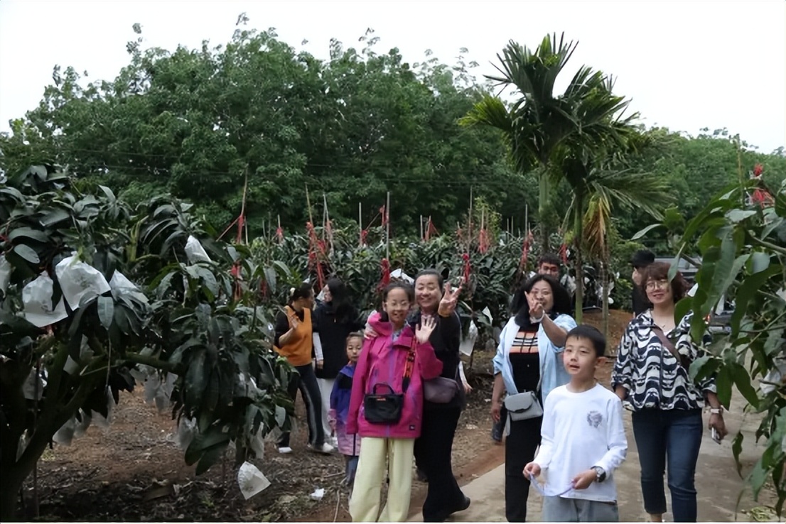 中泰集团携手华唐大健康推动康养新模式——打造山海联动康养旅居新标杆(图19)