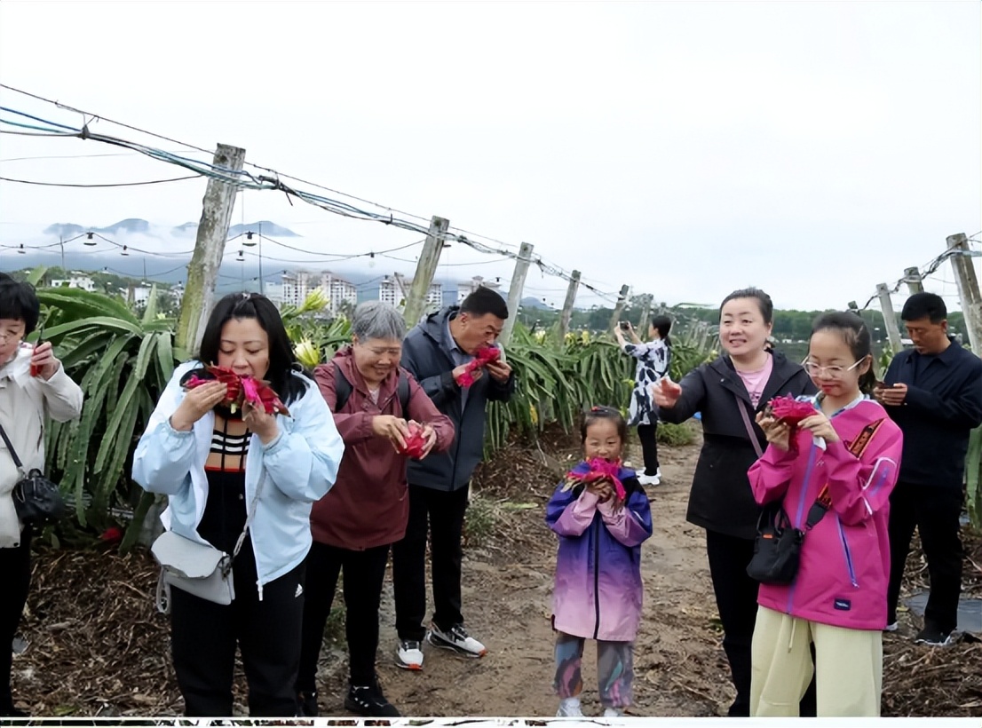 中泰集团携手华唐大健康推动康养新模式——打造山海联动康养旅居新标杆(图20)