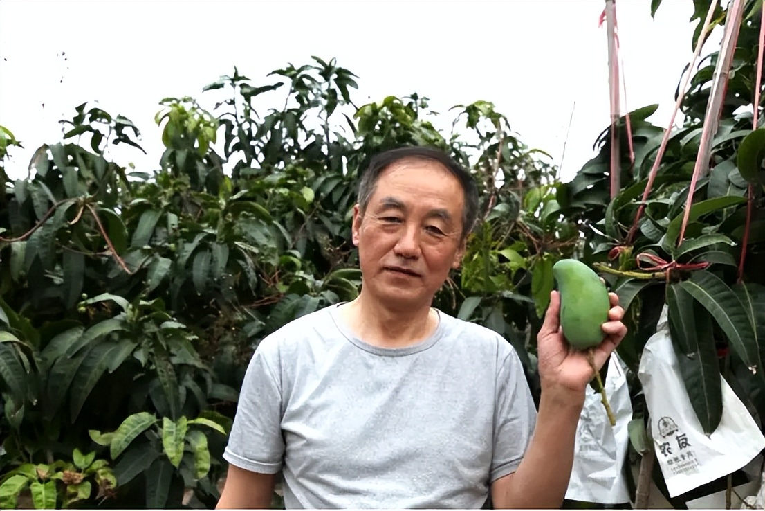 中泰集团携手华唐大健康推动康养新模式——打造山海联动康养旅居新标杆(图22)