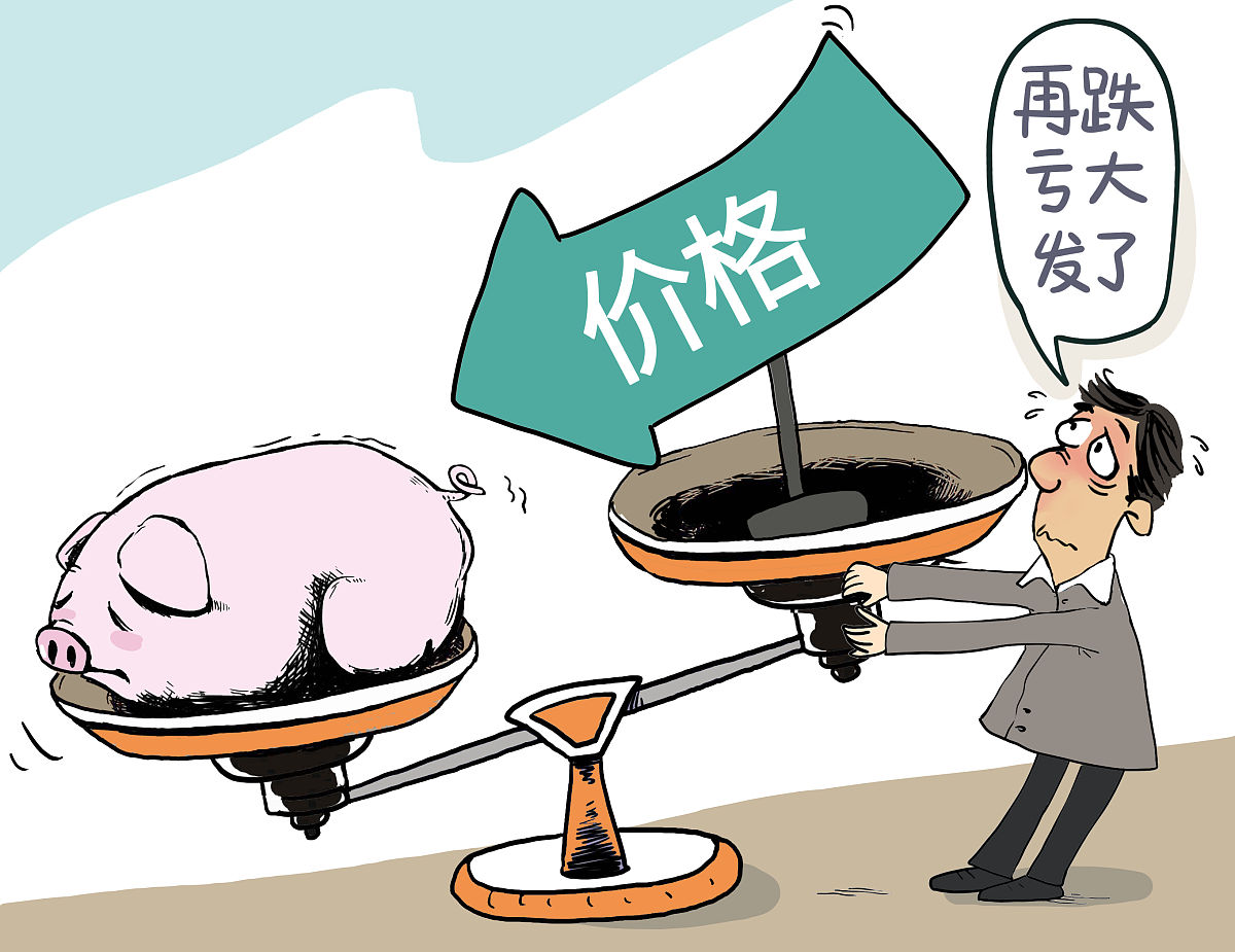 猪价跌破6元！政府出手收储能否稳住养殖户的"钱袋子"？(图1)
