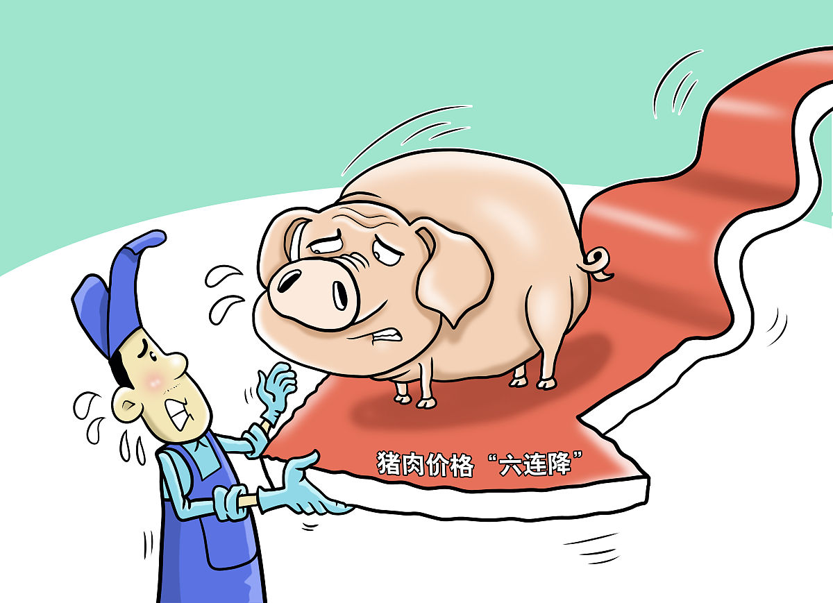 猪价跌破6元！政府出手收储能否稳住养殖户的"钱袋子"？(图3)