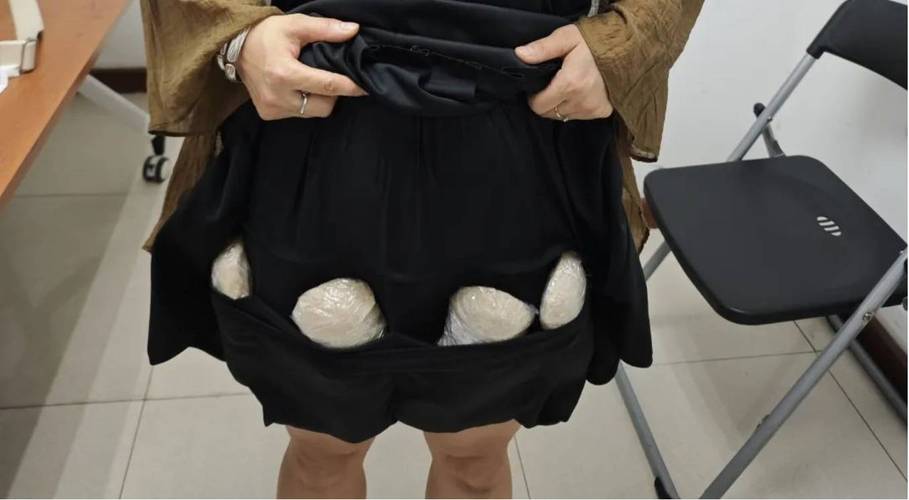 女子打底裤藏燕窝被查：国门安全不容挑战(图1)