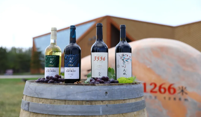 葡萄酒挑选,长城天赋酿出让世界惊叹的“紫色奇迹”(图2) w.png