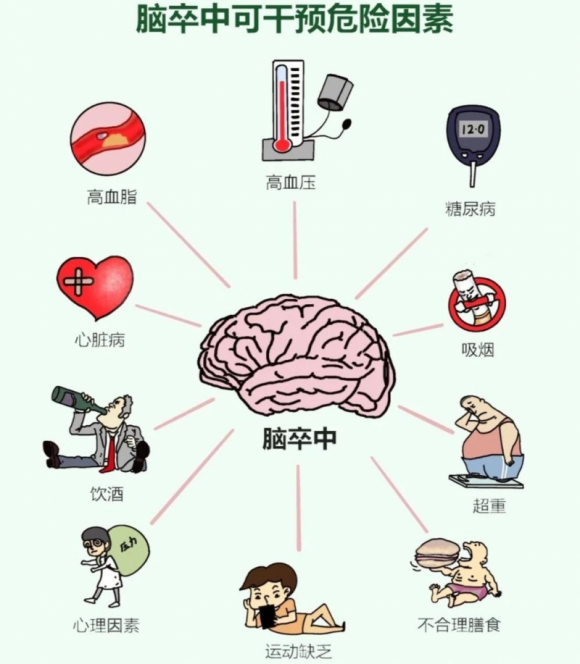 警惕“中风”突袭!脑卒中全面科普(图7) 警惕“中风”突袭!脑卒中全面科普(图7)