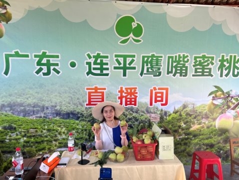 情系助农初心筑梦：AI如何成为“新农具”广州极联视通科技的数字乡村实践(图3)