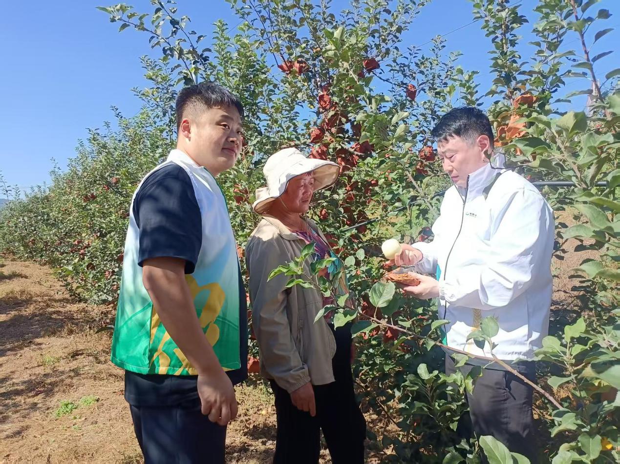 中国人寿财险山东省淄博中支深耕主责主业——农业保险为产业振兴系牢“安全带”(图2) 中国人寿财险山东省淄博中支深耕主责主业——农业保险为产业振兴系牢“安全带”(图2)