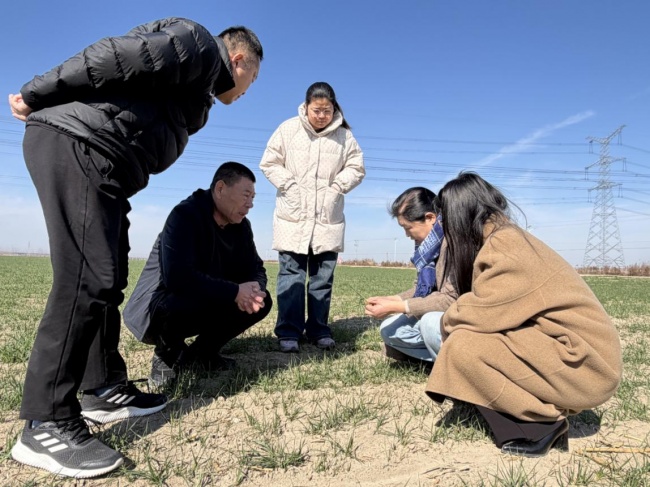 中国人寿财险山东潍坊中支深耕田间地头，书写“三农答卷”(图2)